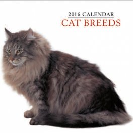 Calendar 2016: Cat Breeds