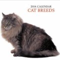 Calendar 2016: Cat Breeds