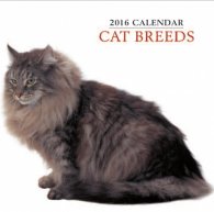 Calendar 2016: Cat Breeds