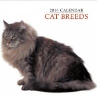 Calendar 2016: Cat Breeds