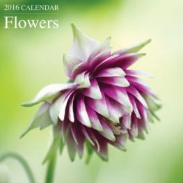 Calendar 2016: Flowers