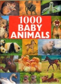 1000 baby Amimals