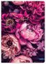 Тетрадка LASTVA Bloom, A4, 96 л., различни видове