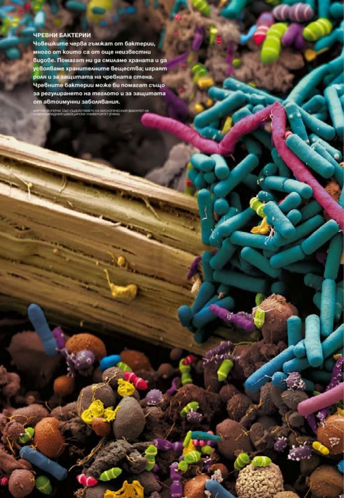 National Geographic 11/2013