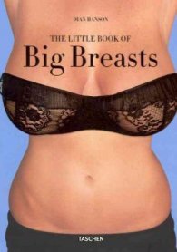 The Little Book of Big Breasts