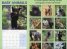 Calendar 2014: Baby Animals