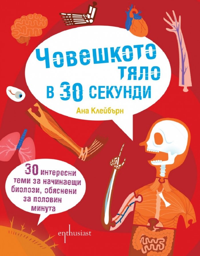 Човешкото тяло в 30 секунди