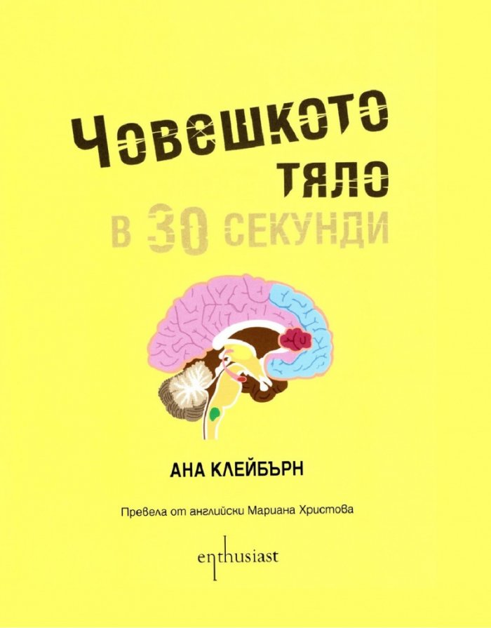 Човешкото тяло в 30 секунди