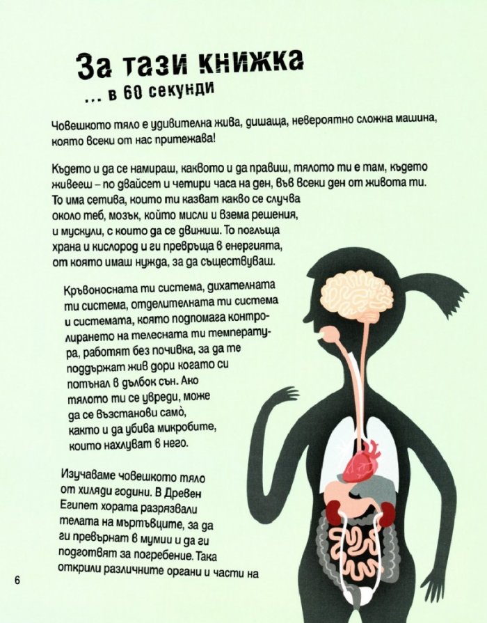 Човешкото тяло в 30 секунди