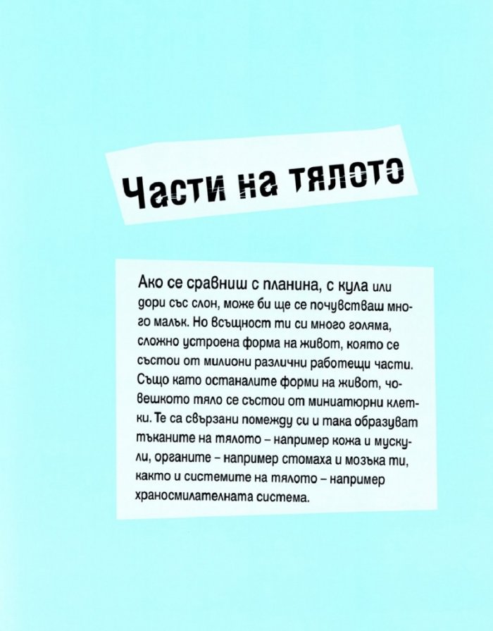 Човешкото тяло в 30 секунди