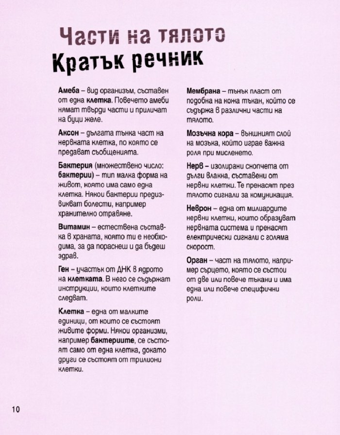 Човешкото тяло в 30 секунди