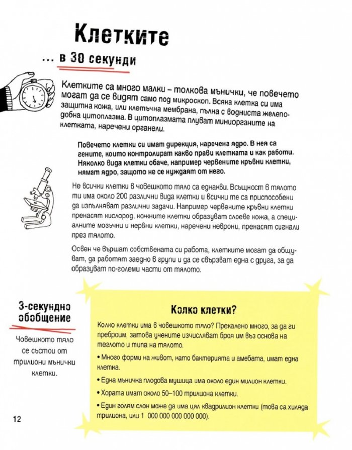 Човешкото тяло в 30 секунди