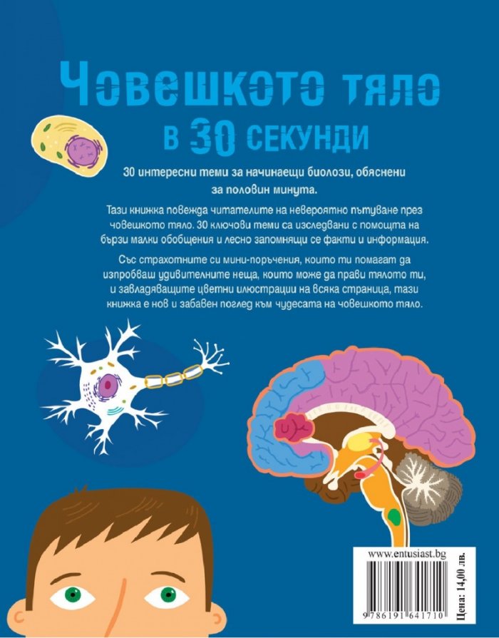 Човешкото тяло в 30 секунди