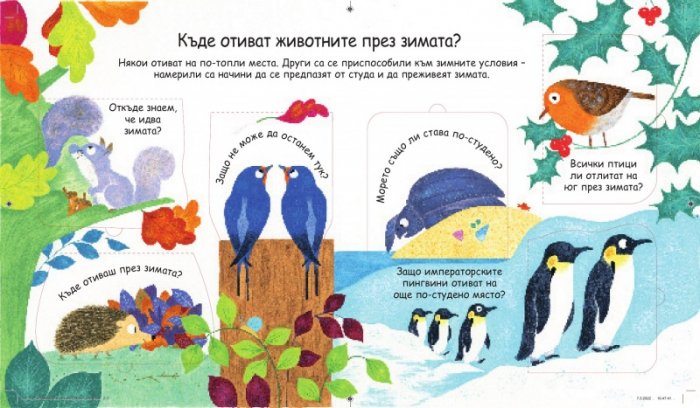 Първи въпроси и отговори: Какво правят животните през зимата?