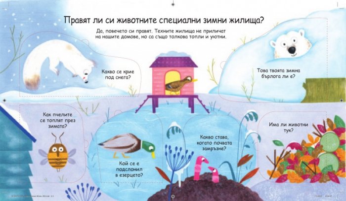 Първи въпроси и отговори: Какво правят животните през зимата?