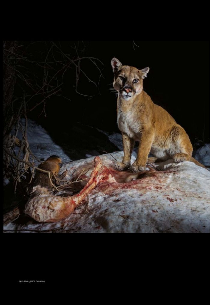 National Geographic 12/2013