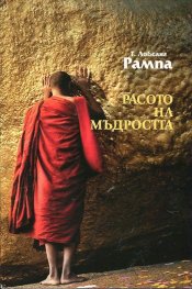 Расото на мъдростта