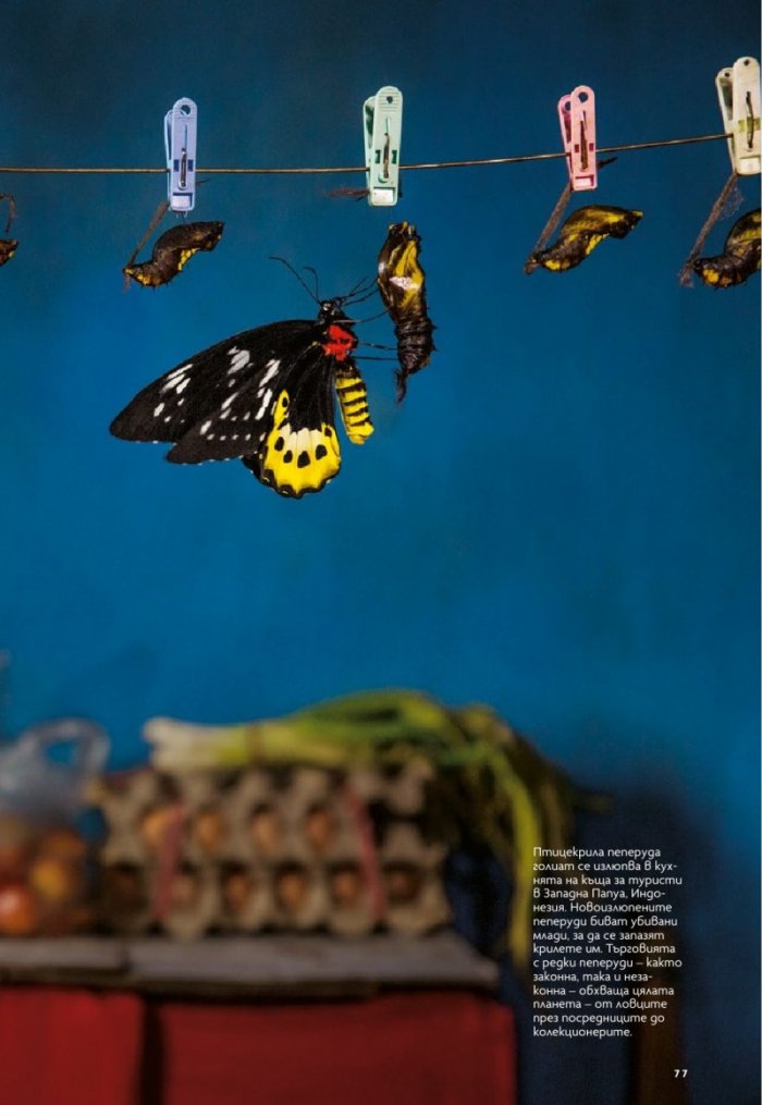 National Geographic България 10/2018
