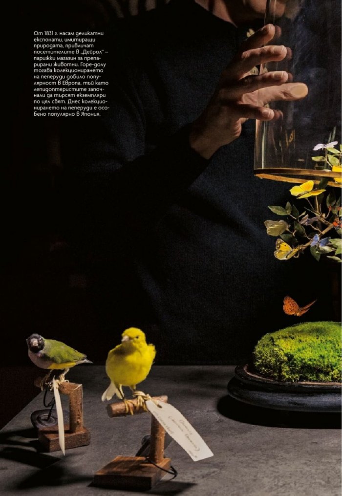 National Geographic България 10/2018