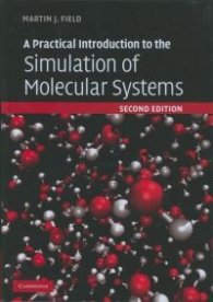 Practical Introduction to the Simulation of Molecular Systems