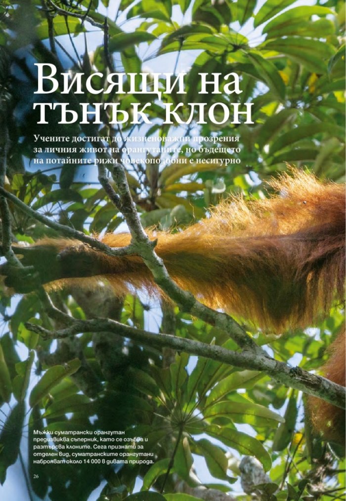 National Geographic България 02/2017