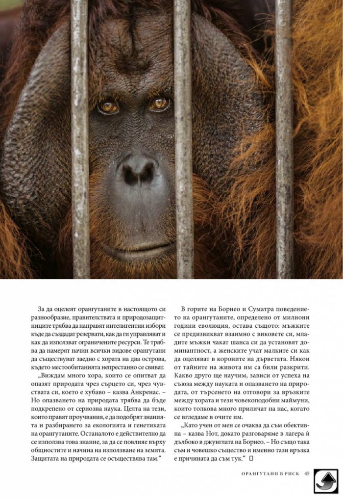National Geographic България 02/2017