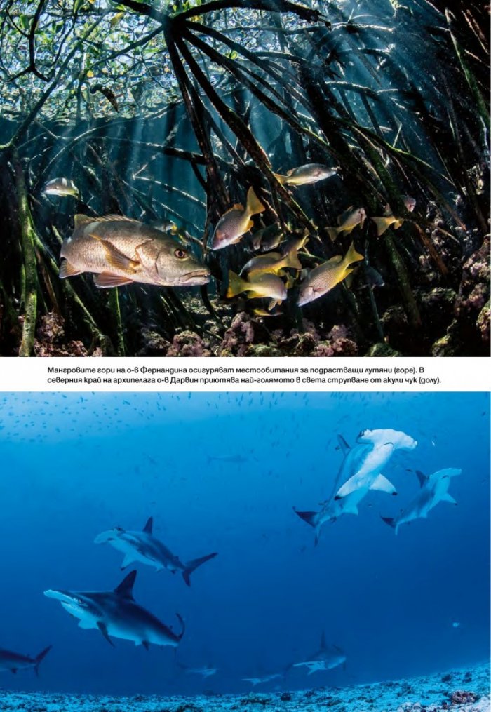 National Geographic България 02/2017