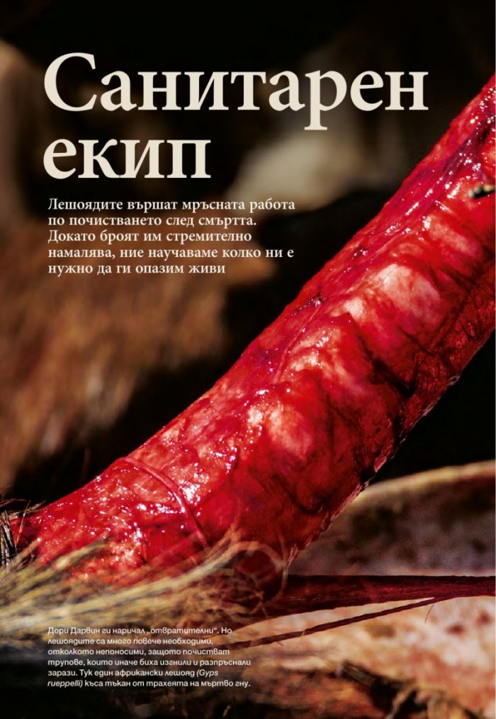 National Geographic България 02/2017