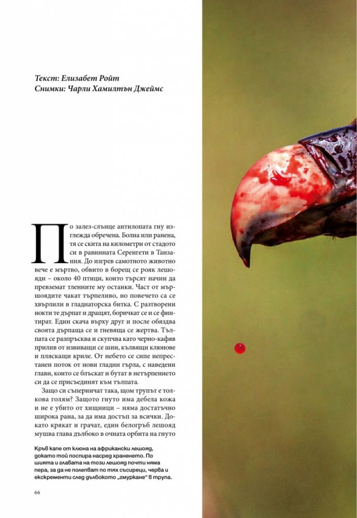 National Geographic България 02/2017