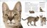 The Cat Encyclopedia : The Definitive Visual Guide
