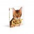 The Cat Encyclopedia : The Definitive Visual Guide