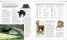 The Cat Encyclopedia : The Definitive Visual Guide