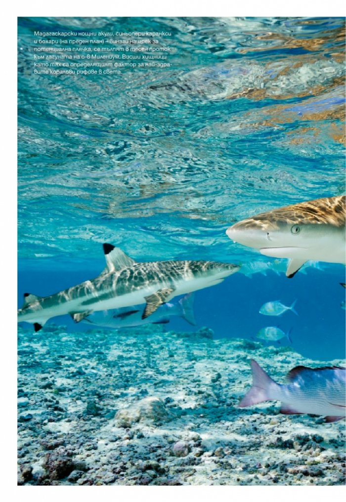 National Geographic България 8/2015