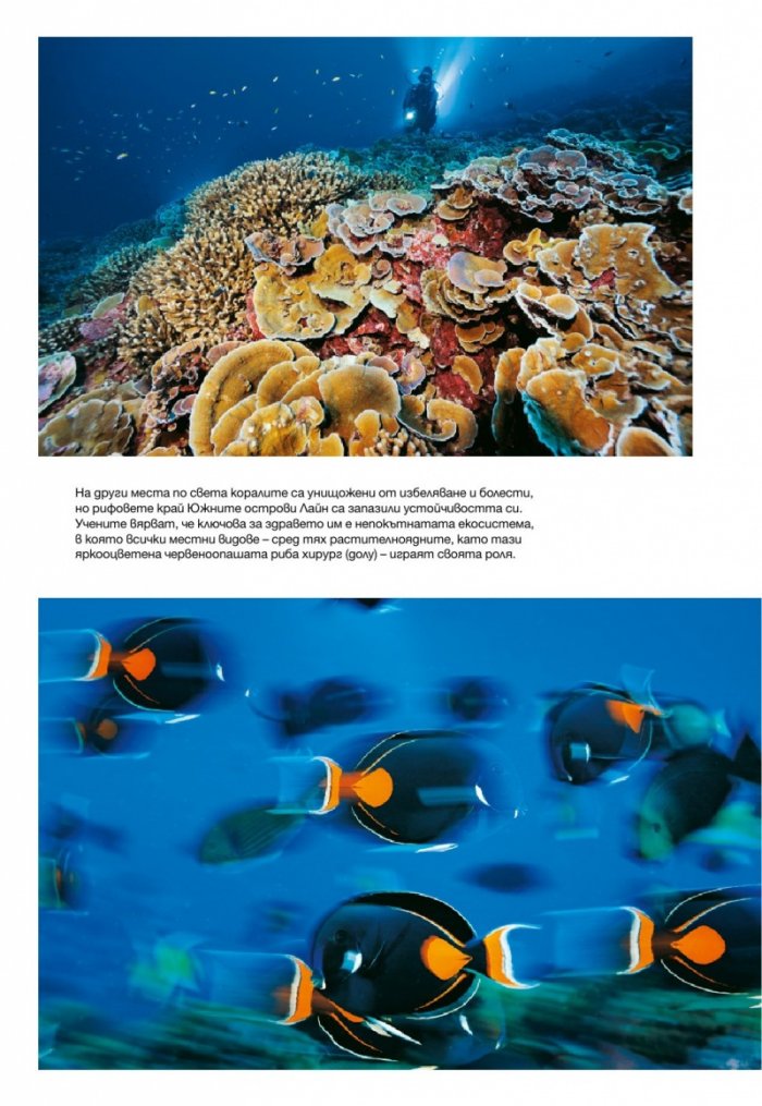 National Geographic България 8/2015