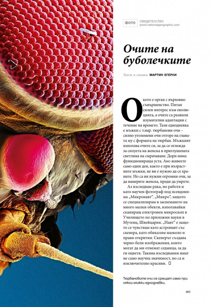 National Geographic България 8/2015