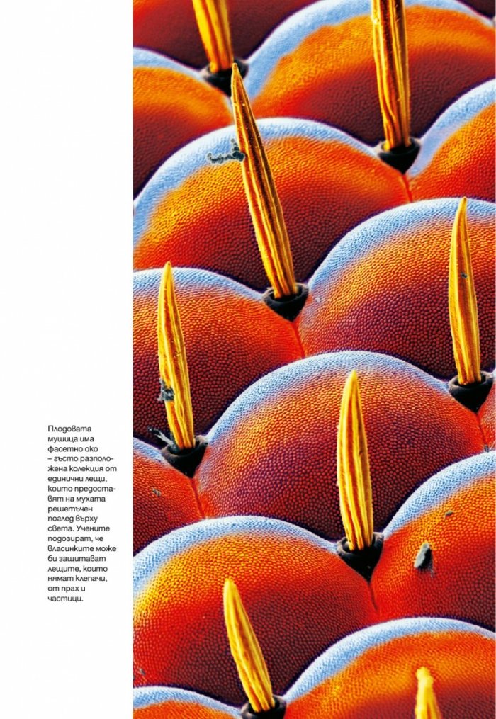 National Geographic България 8/2015