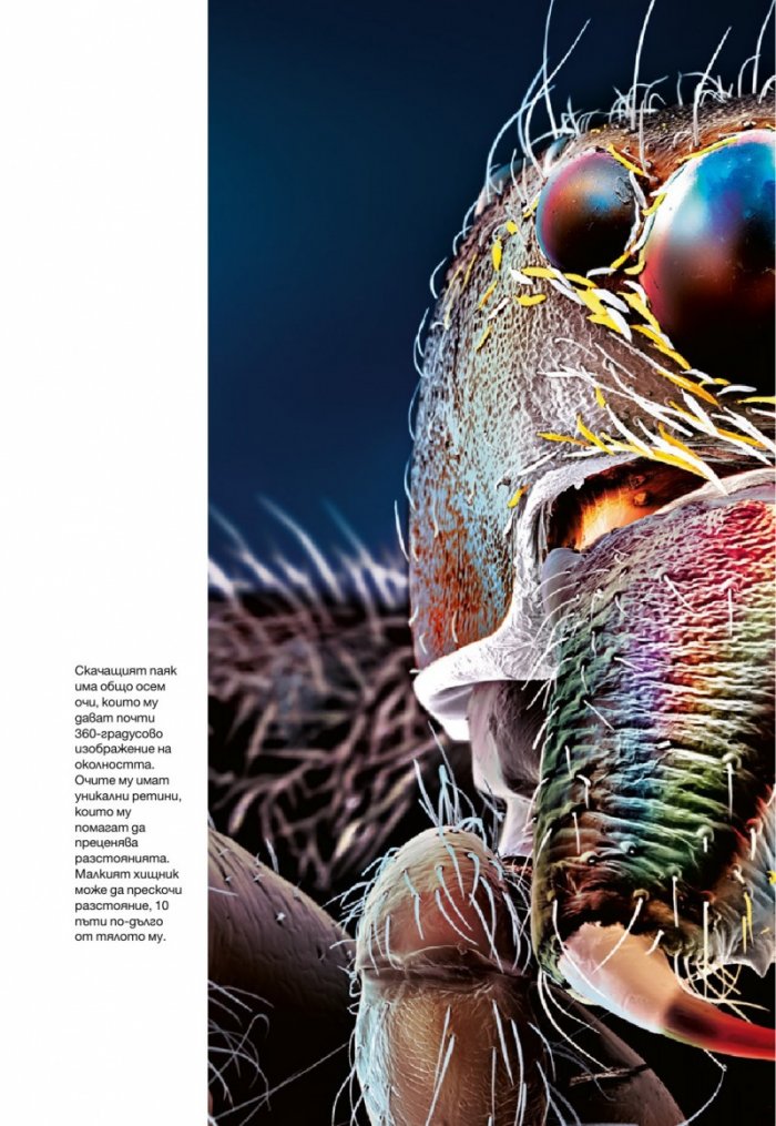 National Geographic България 8/2015