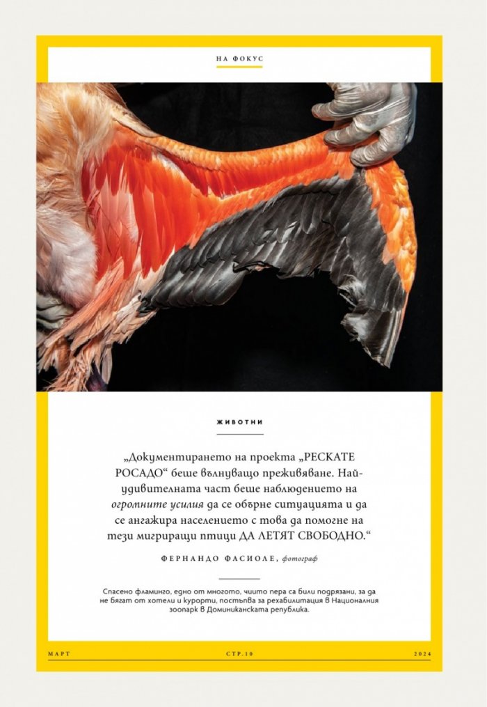 National Geographic България Март/2024