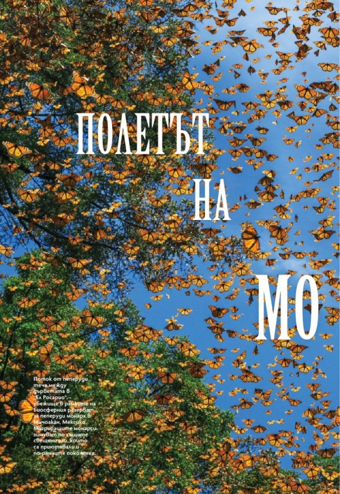 National Geographic България Март/2024