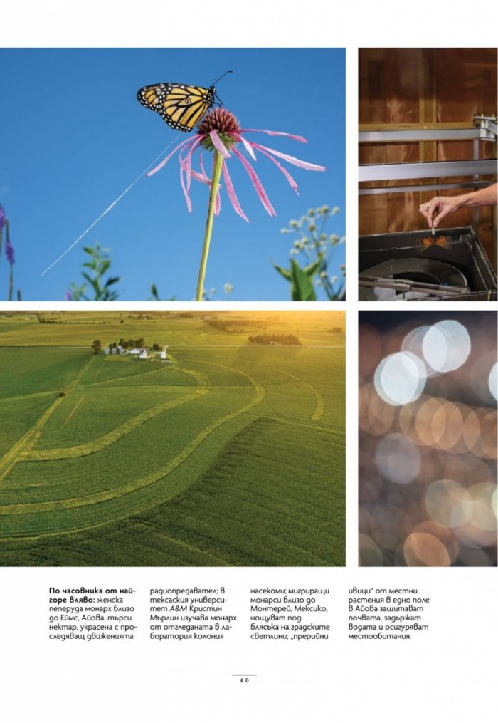 National Geographic България Март/2024