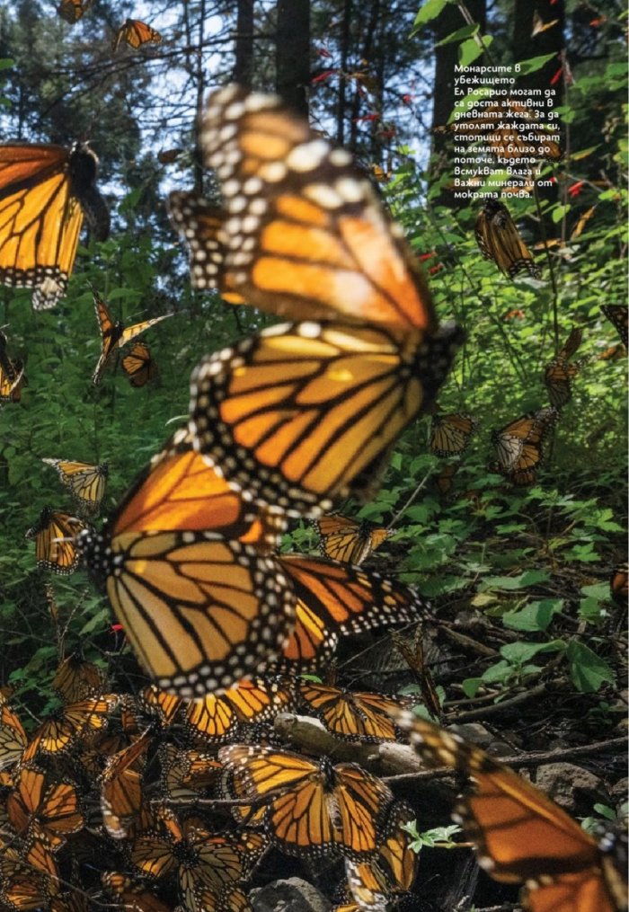 National Geographic България Март/2024
