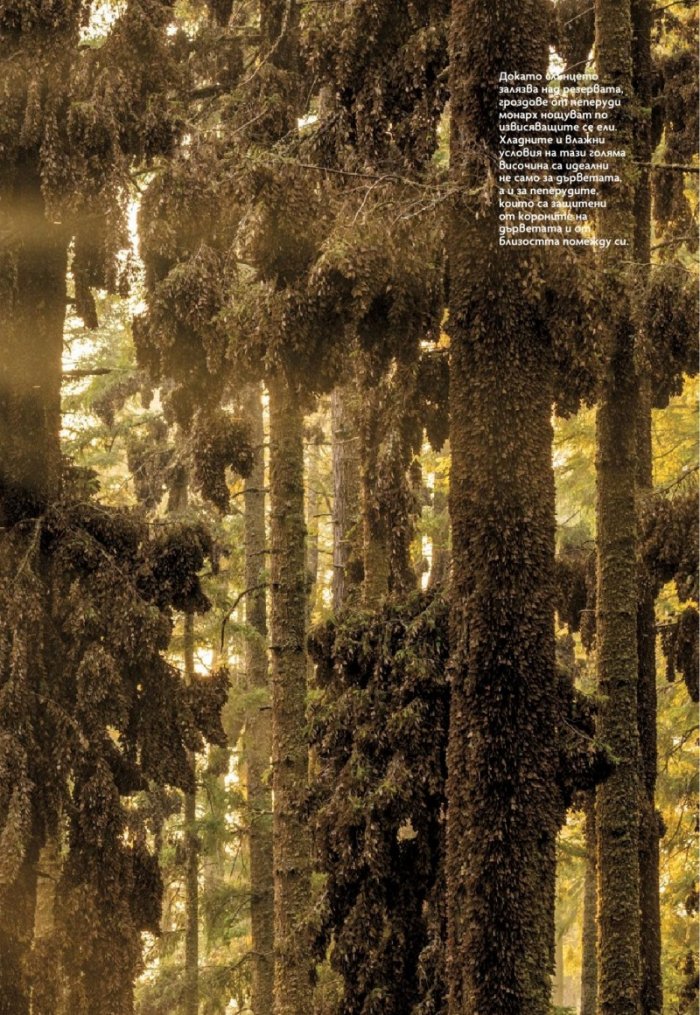National Geographic България Март/2024