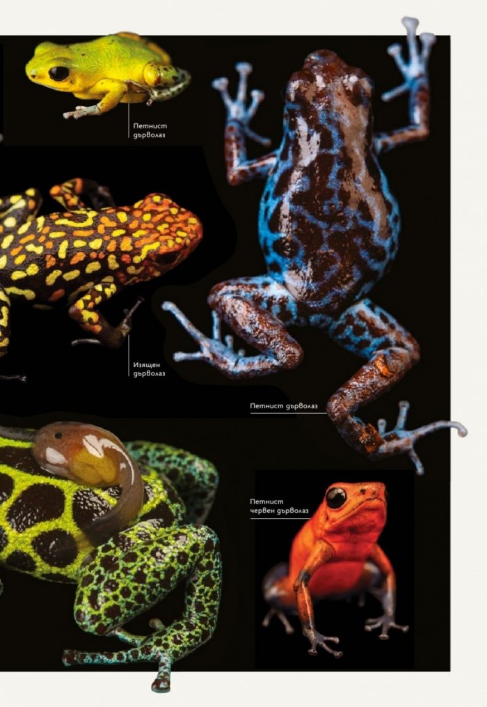 National Geographic България Март/2024