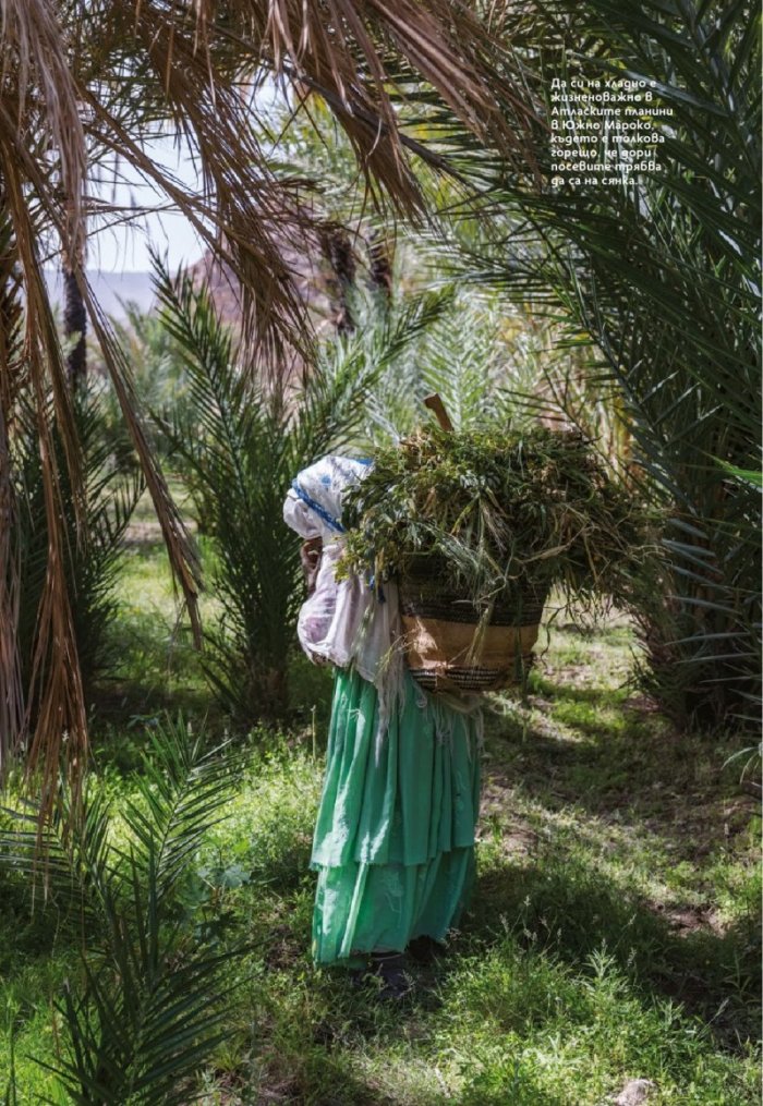 National Geographic България Март/2024