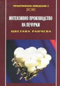 Интензивно производство на печурки