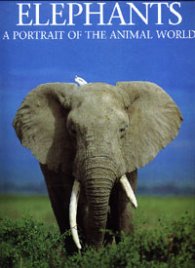 Elephants: A portrait of the animal world