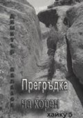 Прегръдка на корен: Хайку 5