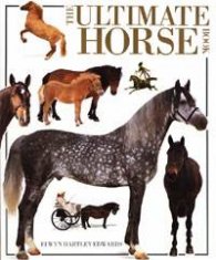 The Ultimate Horse Book