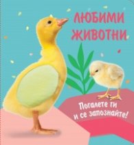 Любими животни: Пате (Погалете ги и се запознайте!)