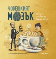 Човешкият мозък